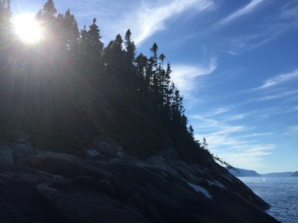 Residence Touristique Les Bouleaux Petit-Saguenay Екстериор снимка